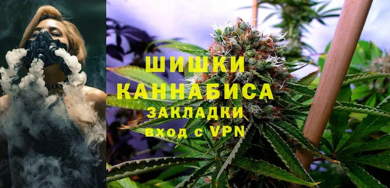 где можно купить наркотик  Новошахтинск  Конопля Ganja 